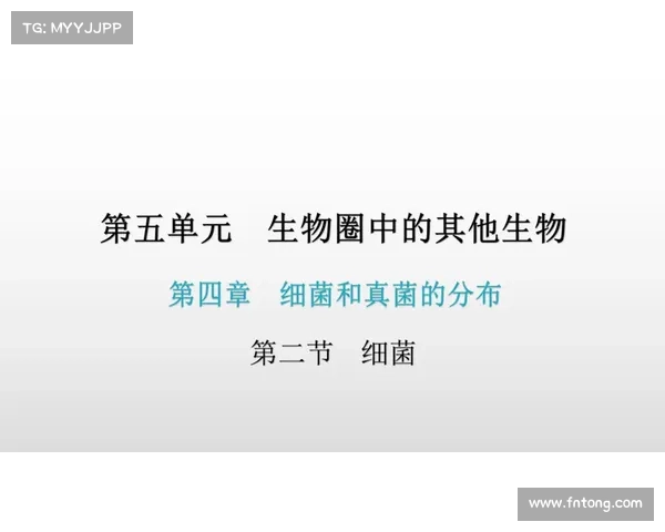 霖雨织梦,探寻第二章的秘密 霖雨织梦,探寻第二章的秘密